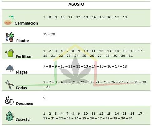 Calendario lunar cannábico Agosto