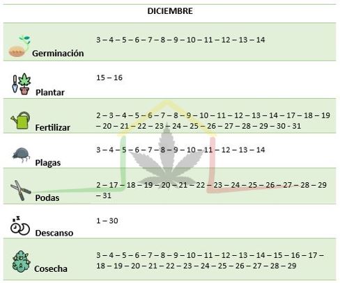 Calendario lunar cannabis diciembre 2024