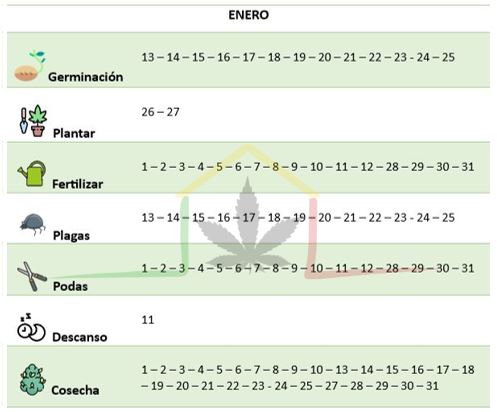 Enero 2024 calendario lunar cannabis