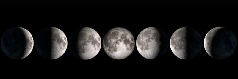 fases-lunares-blog-cultivo