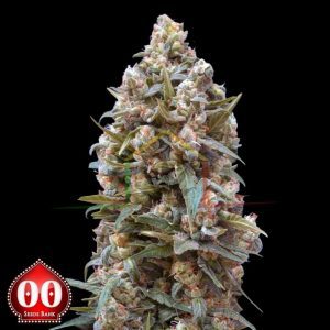 00 Kush - 00 Seeds