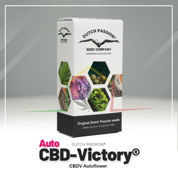 Auto CBD Victory - Ducth Passion