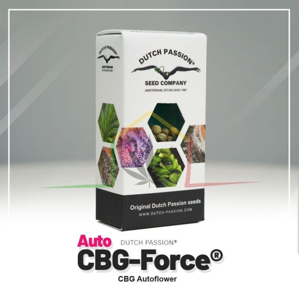 Auto CBG Force - Dutch Passion