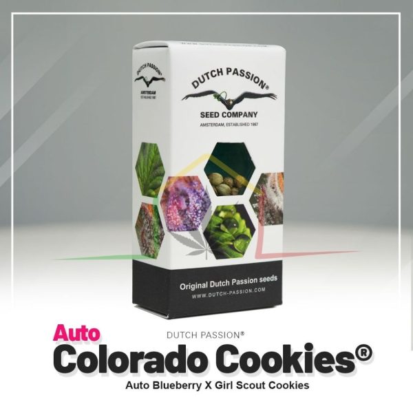 Auto Colorado Cookies - Dutch Passion