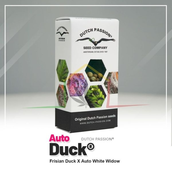 Auto Duck - Dutch Passion