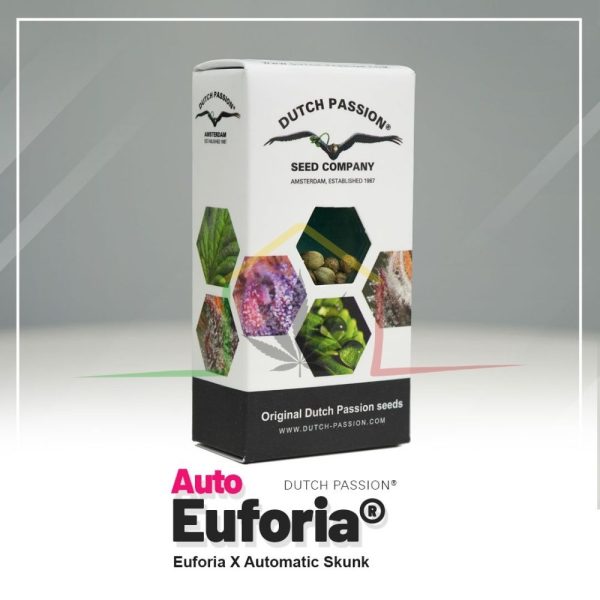 Auto Euforia - Dutch Passion