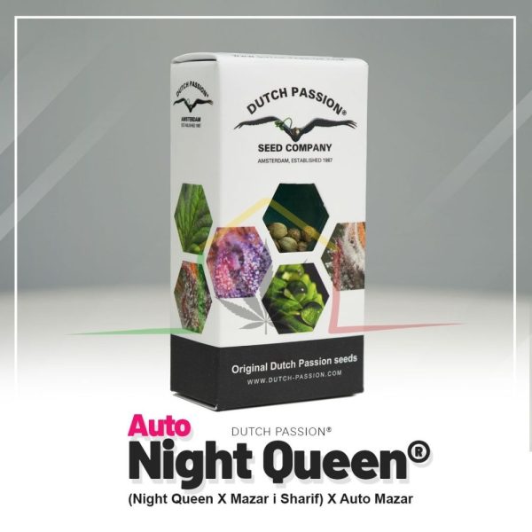 Auto Night Queen - Dutch Passion