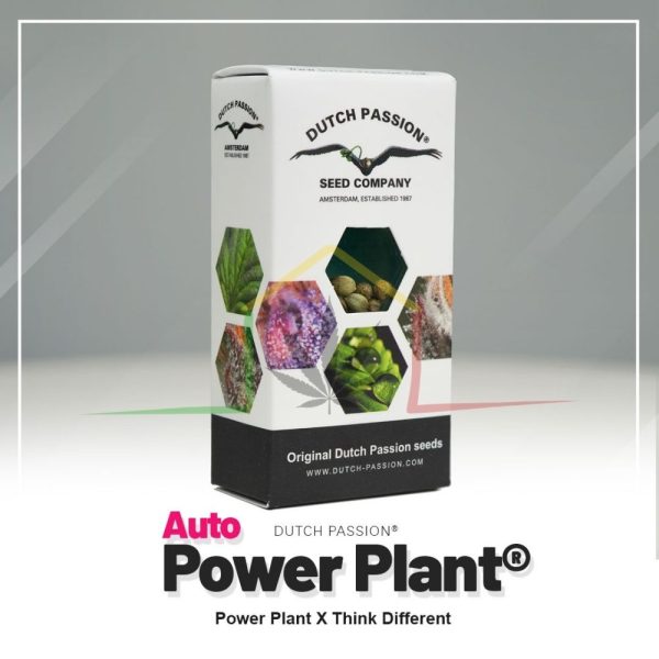 Auto Power Plant - Dutch Passion