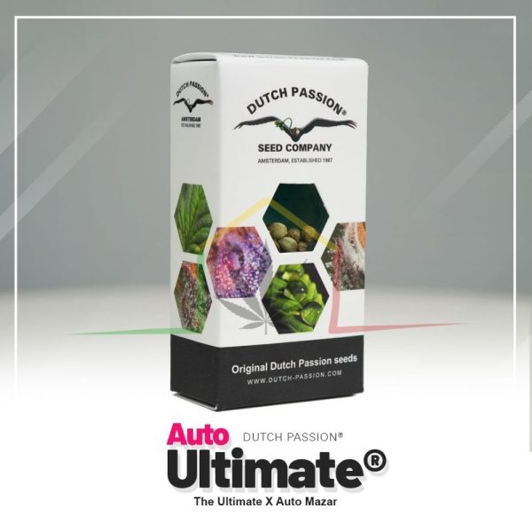 Auto Ultimate - Dutch Passion