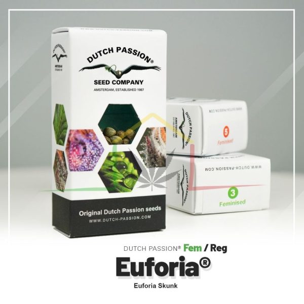 Euforia - Dutch Passion