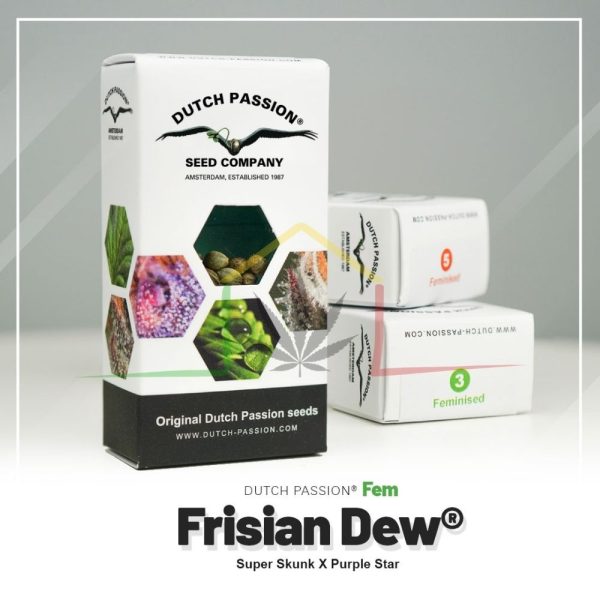 Frisian Dew - Dutch Passion