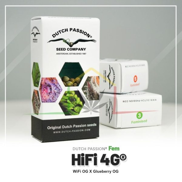 Hifi 4G - Dutch Passion