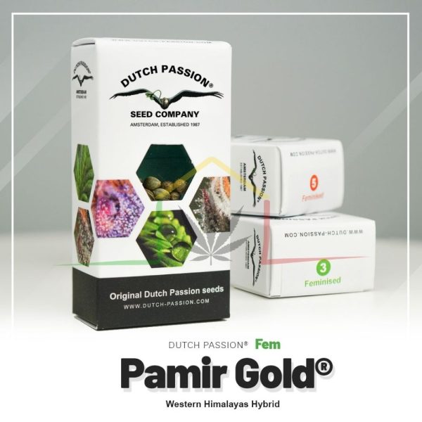 Pamir Gold - Dutch Passion