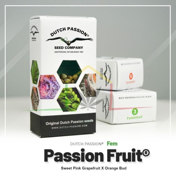 Passion Fruit - Dutch Passion