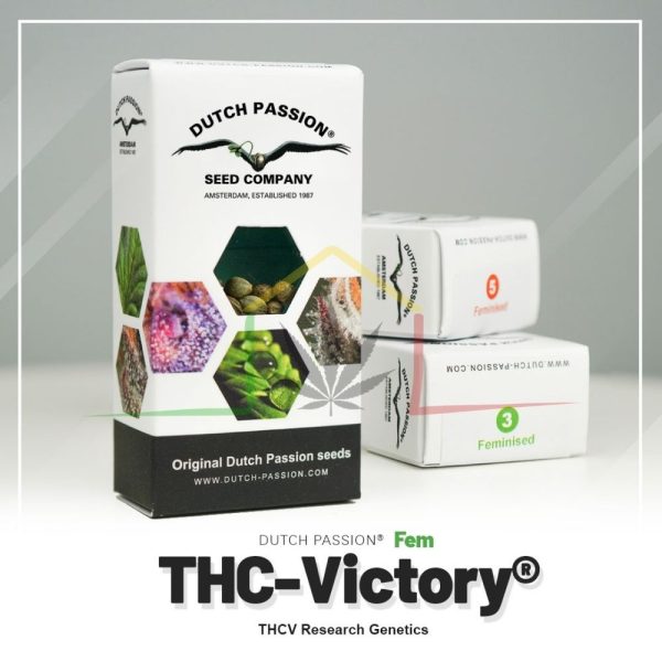 THC-Victory - Dutch Passion