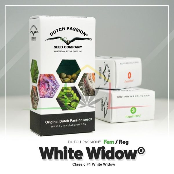 White Widow - Dutch Passion