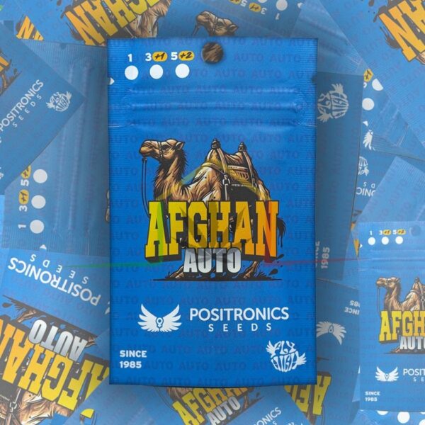 Afghan Auto - Positronics Seeds