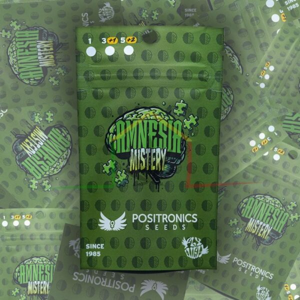 Amnesia Mistery - Positronics Seeds