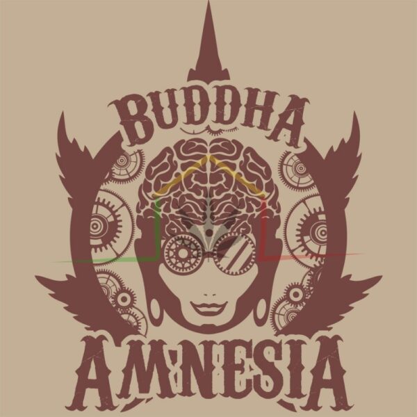 buddha Amnesia