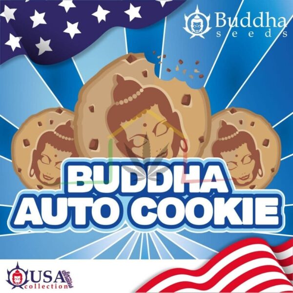 BUDDHA AUTO COOKIE PACK