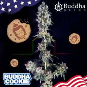 buddha seeds cookies