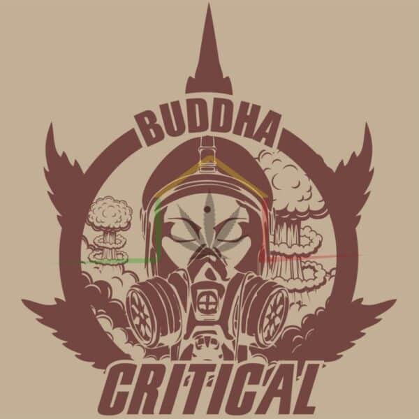 buddha Critical buddha seeds