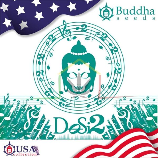 BUDDHA DOSI2 PACK