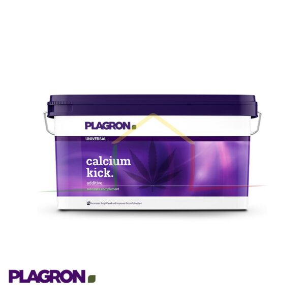 Calcium Kick