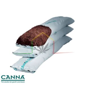 Canna Coco Planchas