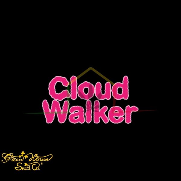 Cloud Walker - Green House Seeds