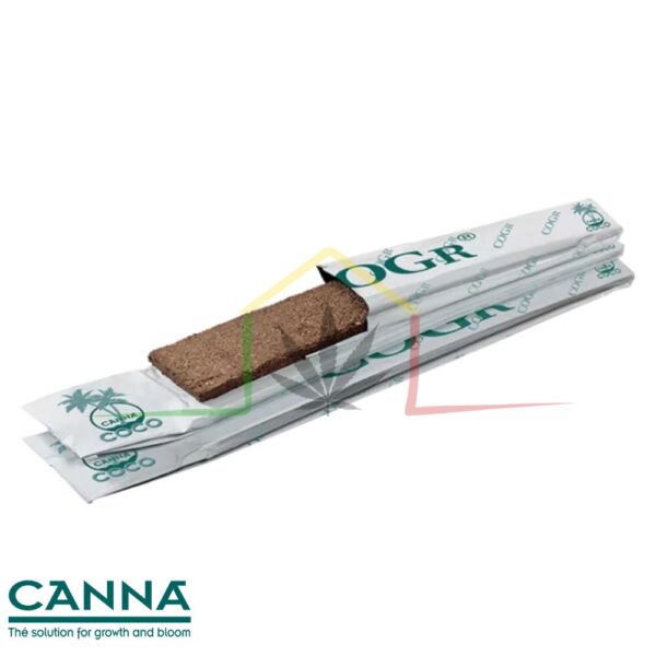 Canna COGr Planchas