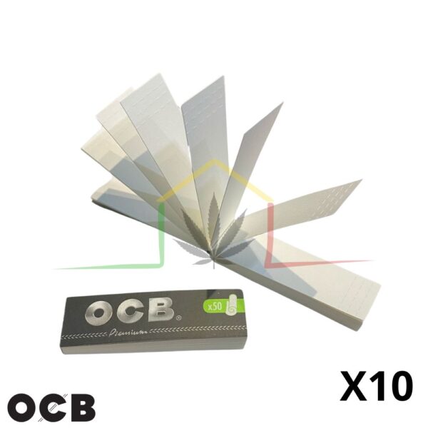 pack 10 filtros cartón OCB para boquillas