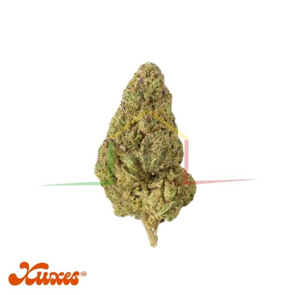 flor cbd amnesia de xuxes cbd