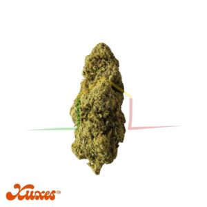 flores cbd cookies de xuxes cbd