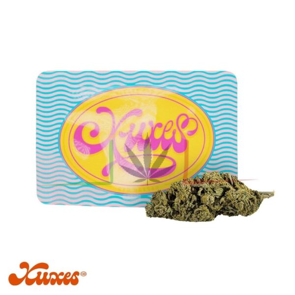 flor cbd gelato xuxes cbd