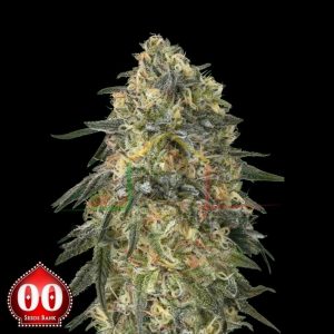 Gorilla de 00 seeds