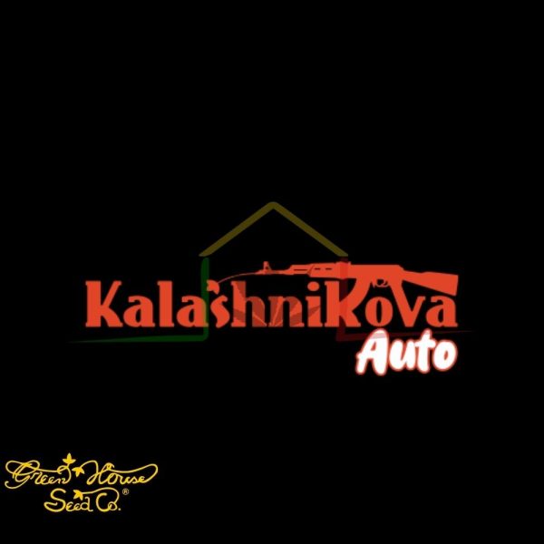 Kalashnikova Auto - Green House Seeds