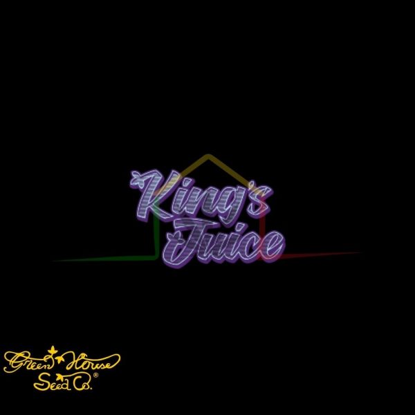 King's Juice - Green House Seeds