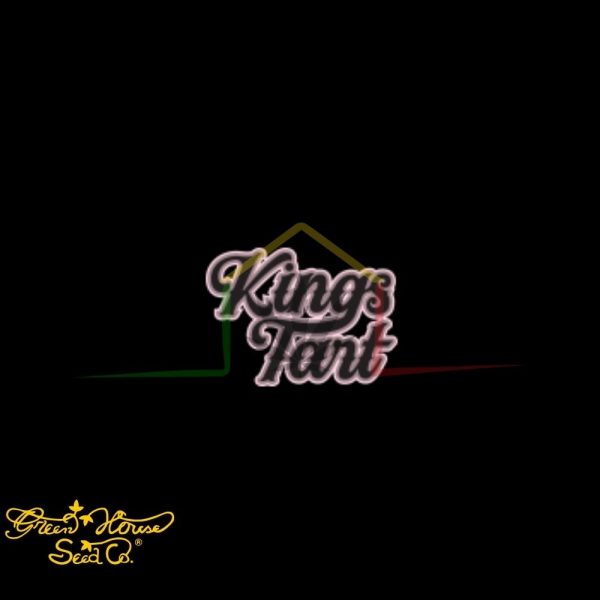 King's Tart - Green House Seeds