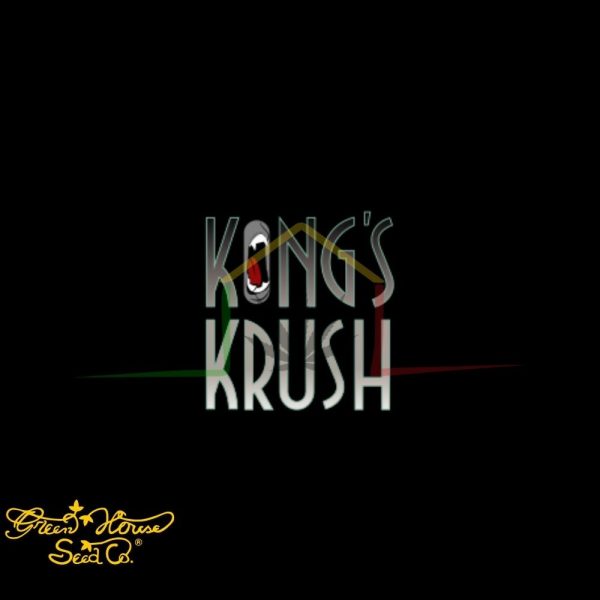 Kong's Krush - Green House Seeds