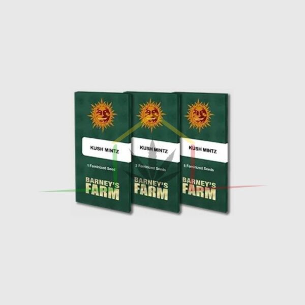 Kush Mintz - Barney's Farm