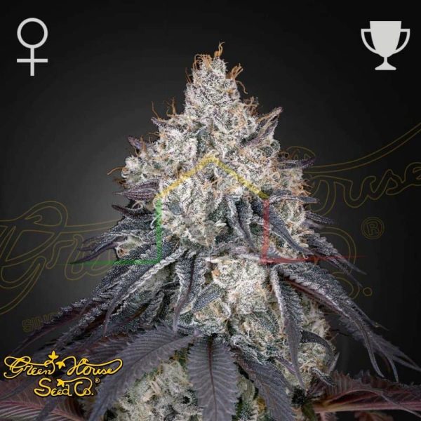Lemon Orange - Green House Seeds