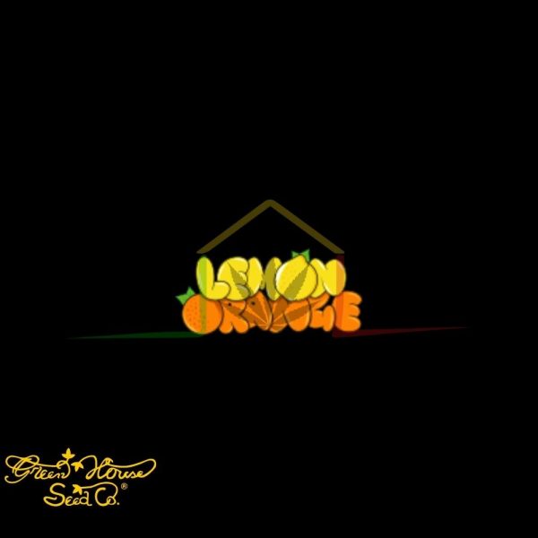 Lemon Orange - Green House Seeds