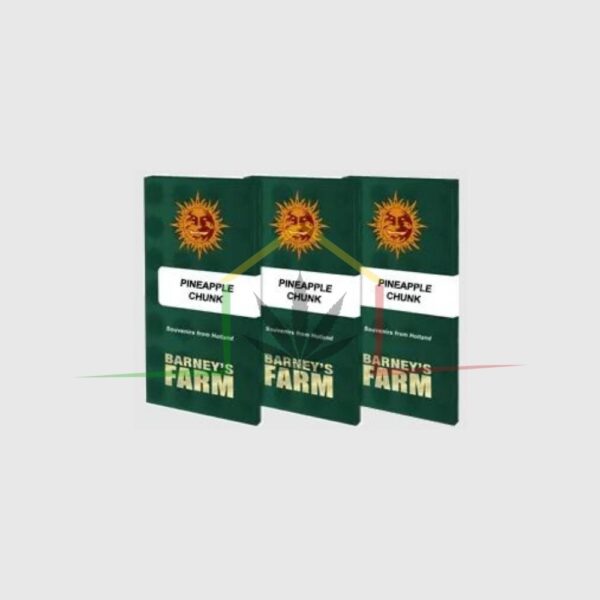 Pineapple Chunk - Barneys Farm