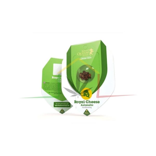 Royal Cheese Automatic - Royal Queen Seeds