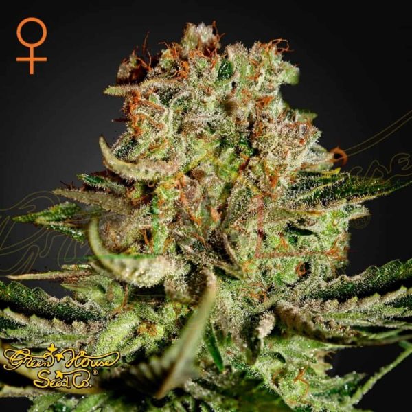 Super Bud - Green House Seeds