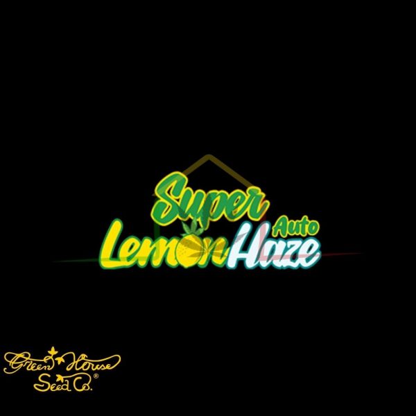 Super Lemon Haze Auto CBD - Green House Seeds