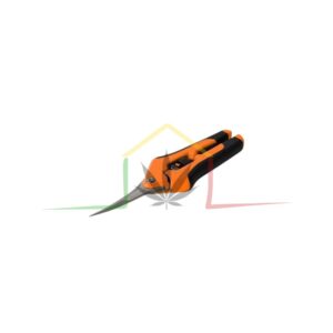 Tijera punta curva - Bud Clean