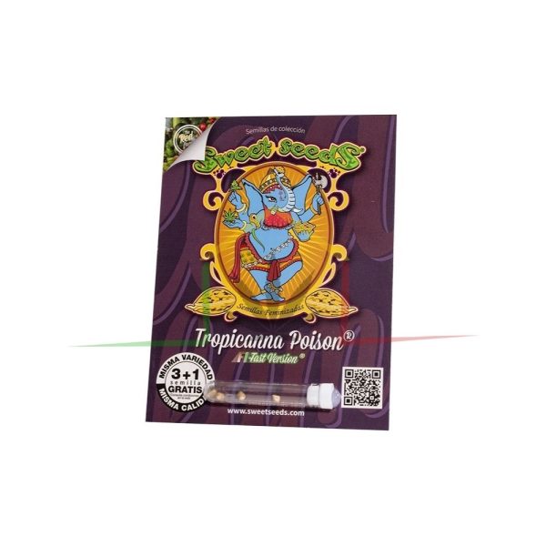 Tropicanna Poison f1 Fast Version - Sweet Seeds