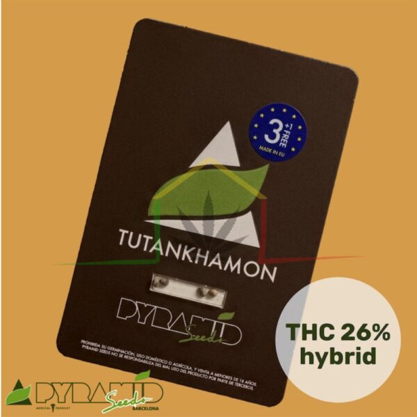 Tutankhamon - Pyramid Seeds